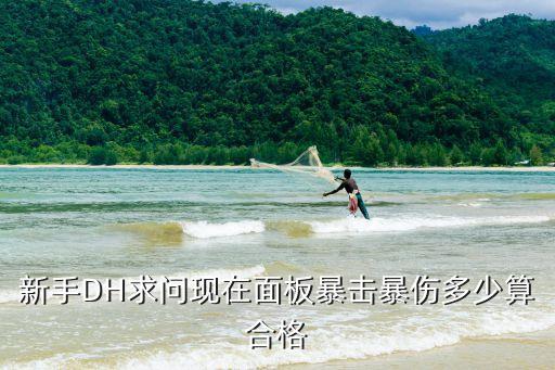 dnf手游韩服暴击怎么算，韩服的所有攻击力也是加算吗沃特碧们的ColgDNF地下城与勇士
