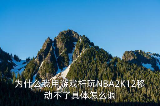 为什么我用游戏杆玩NBA2K12移动不了具体怎么调