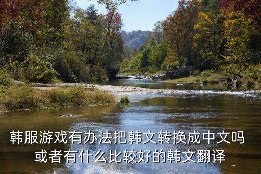 韩服游戏有办法把韩文转换成中文吗 或者有什么比较好的韩文翻译