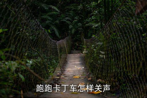 跑跑卡丁车怎样关声