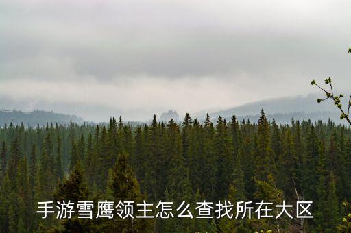 手游雪鹰领主怎么查找所在大区