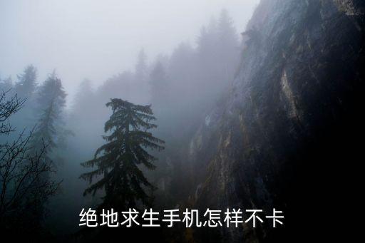 pubg手游卡了怎么办，玩吃鸡手游手机很卡怎么办