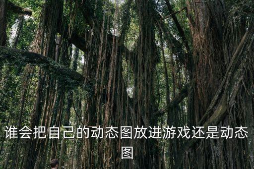 谁会把自己的动态图放进游戏还是动态图