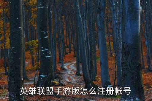 英雄联盟手游版怎么注册帐号