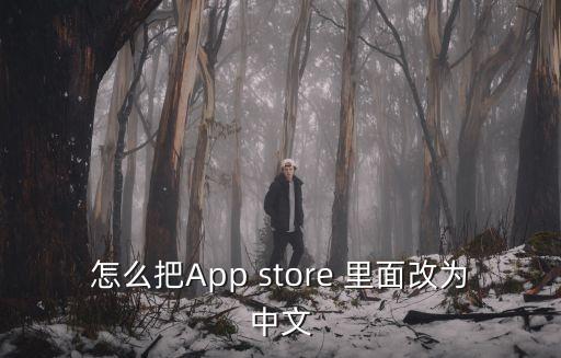 怎么把App store 里面改为中文