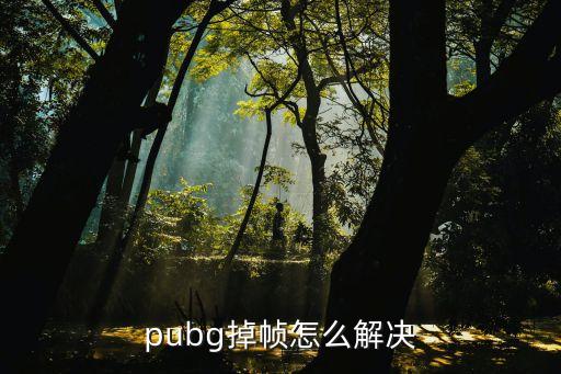 pubg掉帧怎么解决