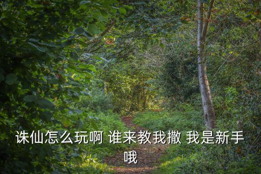 诛仙怎么玩啊 谁来教我撒 我是新手哦