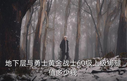 地下层与勇士黄金战士60级上级绑腿值多少钱
