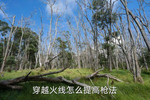 穿越火线怎么提高枪法