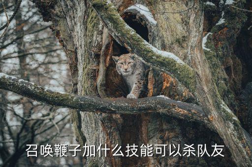召唤手游怎么杀队友，使命召唤4怎样杀队友控制台指令