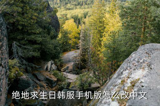 cf韩服手游怎么改中文，韩服游戏有办法把韩文转换成中文吗 或者有什么比较好的韩文翻译