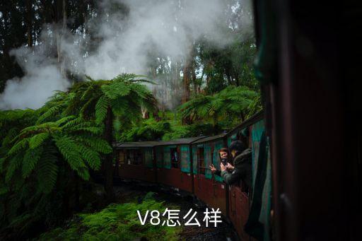 V8怎么样