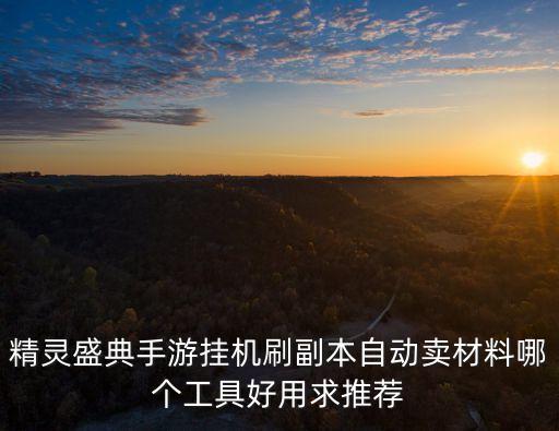 精灵盛典手游挂机刷副本自动卖材料哪个工具好用求推荐