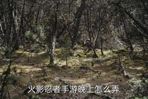 火影忍者手游新春晚会怎么打，火影忍者手游新春限定忍者怎么获得 新春限定获取