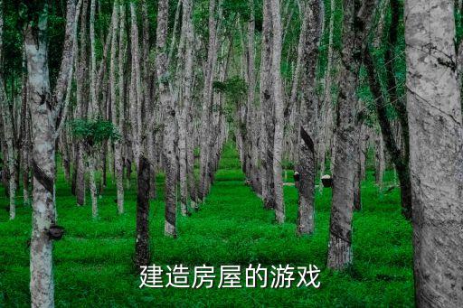 建造房屋的游戏