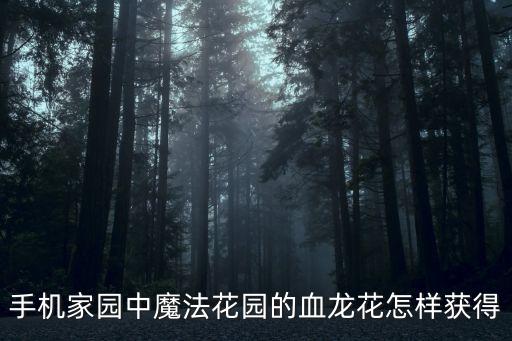 手机家园中魔法花园的血龙花怎样获得