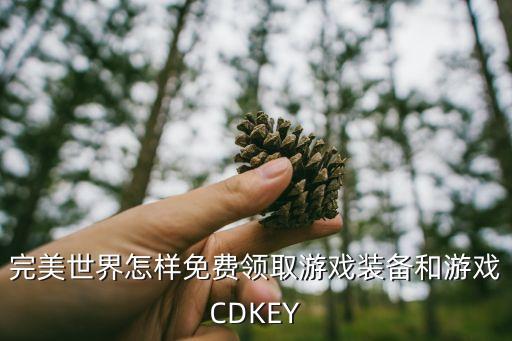 完美世界怎样免费领取游戏装备和游戏CDKEY