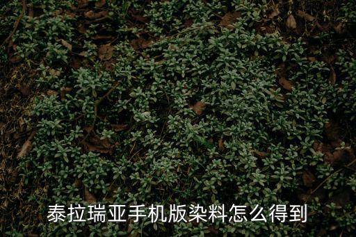 泰拉瑞亚手机版染料怎么得到