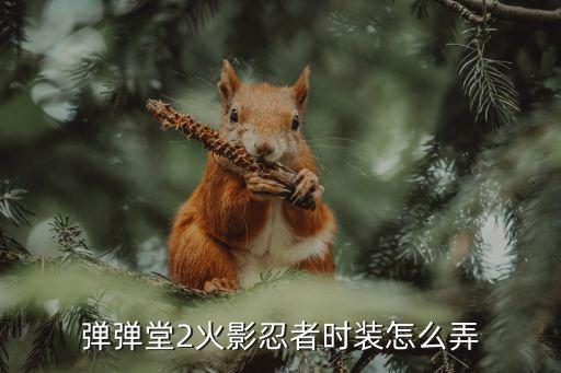 弹弹堂2火影忍者时装怎么弄