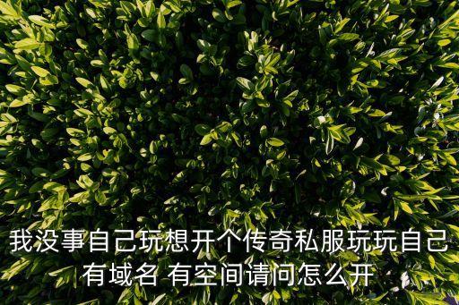 我没事自己玩想开个传奇私服玩玩自己有域名 有空间请问怎么开