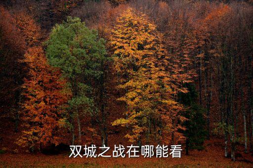 怎么在lol手游看双城之战，双城之战在哪能看