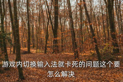 游戏内切换输入法就卡死的问题这个要怎么解决