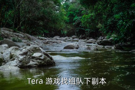 Tera 游戏找组队下副本