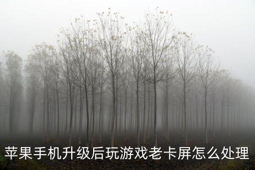 苹果手机升级后玩游戏老卡屏怎么处理