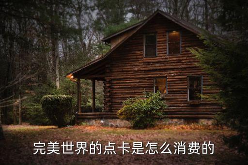 完美世界的点卡是怎么消费的