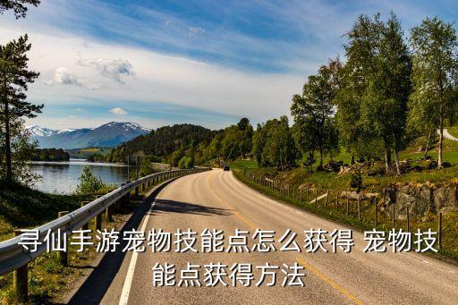 寻仙手游召唤兽技能点怎么加，寻仙有什么可以增加宠物技能点怎么买大神们帮帮忙