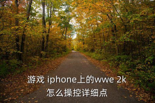 游戏 iphone上的wwe 2k怎么操控详细点