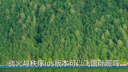 战火与秩序ios版本可以飞国际服吗