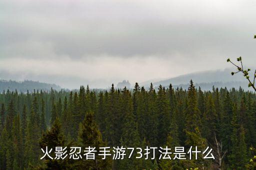 火影忍者手游73打法是什么