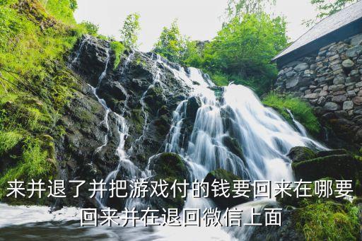 来并退了并把游戏付的钱要回来在哪要回来并在退回微信上面