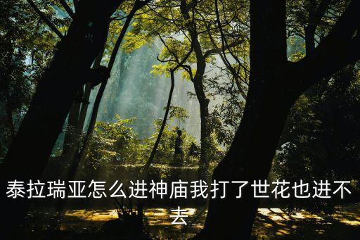 泰拉瑞亚怎么进神庙我打了世花也进不去