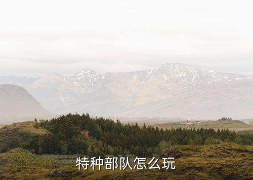 特种部队怎么玩