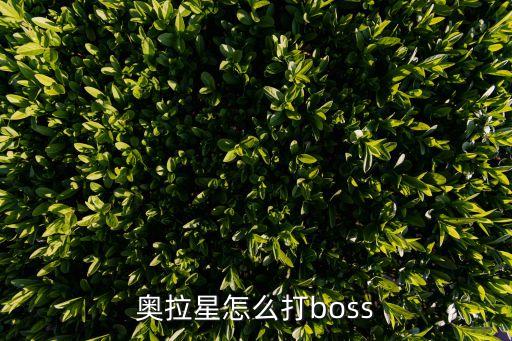 奥拉星手游安德鲁五回合怎么打，奥拉星手游安德烈怎么过