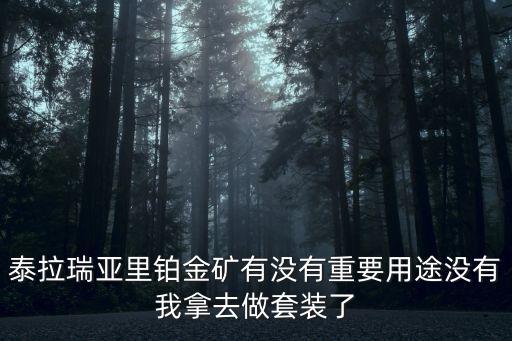 泰拉瑞亚里铂金矿有没有重要用途没有我拿去做套装了