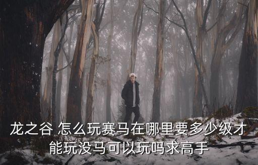 龙之谷 怎么玩赛马在哪里要多少级才能玩没马可以玩吗求高手