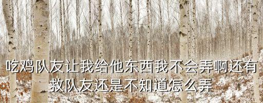 吃鸡队友让我给他东西我不会弄啊还有救队友还是不知道怎么弄