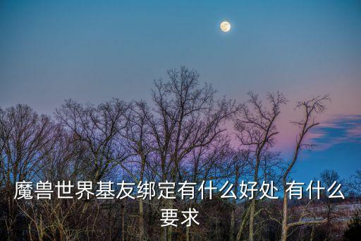 魔兽世界基友绑定有什么好处 有什么要求
