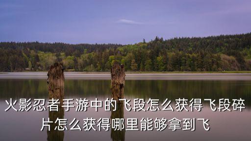 火影忍者手游飞段怎么加，火影忍者手游中的飞段怎么获得飞段碎片怎么获得哪里能够拿到飞