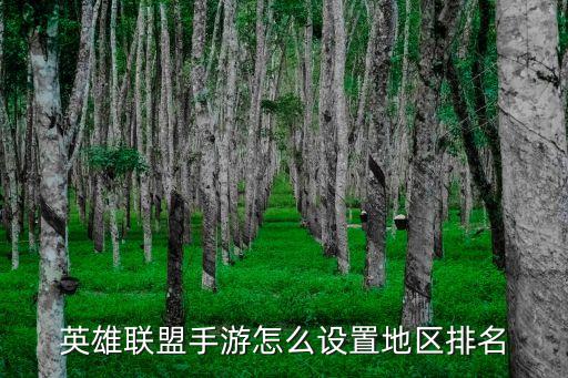 联盟手游战区怎么调，LOL战区这么弄的