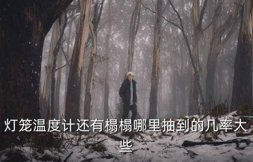 灯笼温度计还有榻榻哪里抽到的几率大些