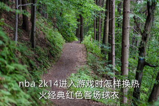 nba 2k14进入游戏时怎样换热火经典红色客场球衣