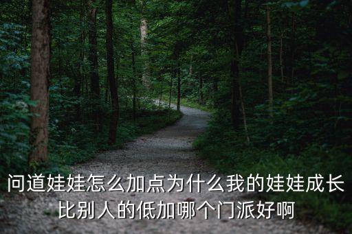 问道娃娃怎么加点为什么我的娃娃成长比别人的低加哪个门派好啊