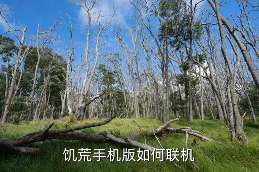 饥荒手机版如何联机