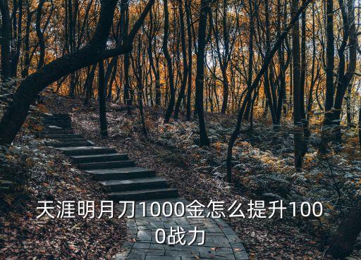 天涯明月刀手游新区战力怎么提升，天涯明月刀1000金怎么提升1000战力