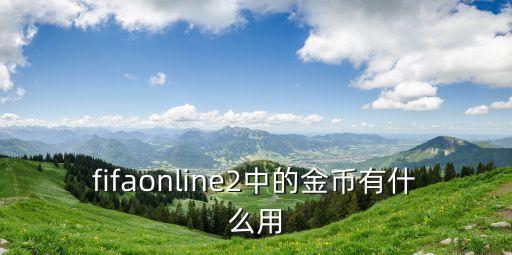 fifaonline2中的金币有什么用