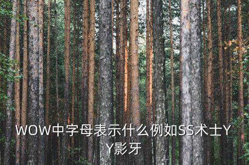 WOW中字母表示什么例如SS术士YY影牙